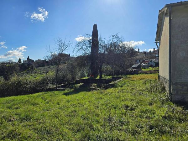 Magazzino in Via Provinciale, Cetona, {3} - Foto 2