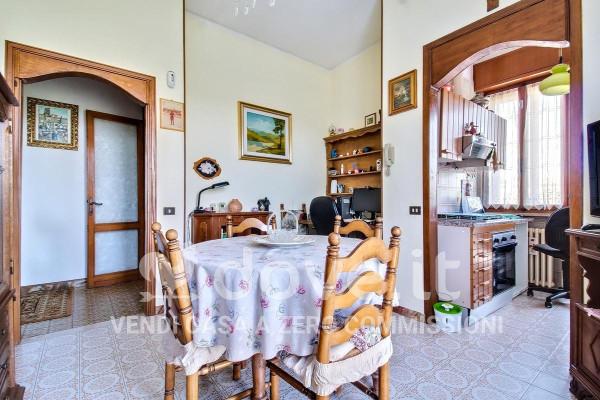 immagine annuncio 6 di 14