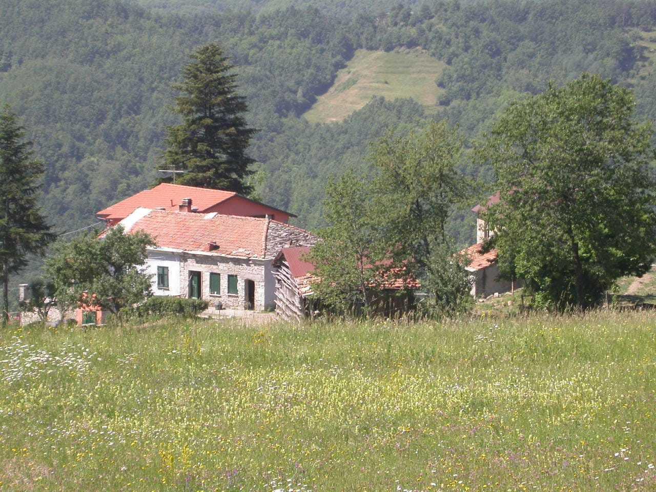 Agriturismo in Località Cavizzano 13a, Varese Ligure, {3} - Foto 2