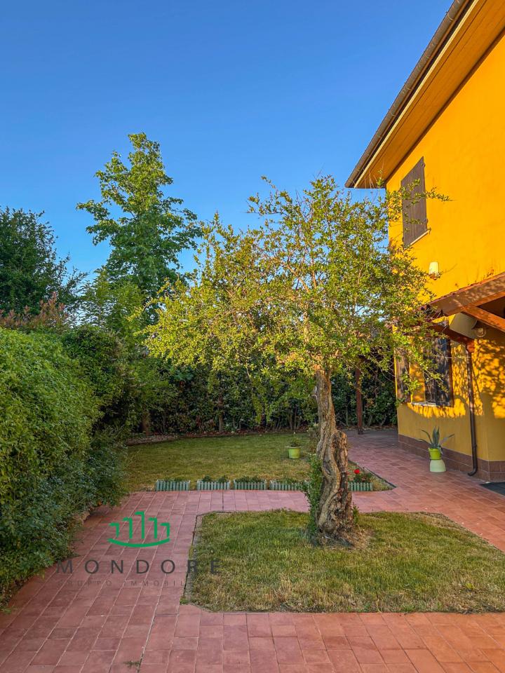 immagine annuncio 5 di 11