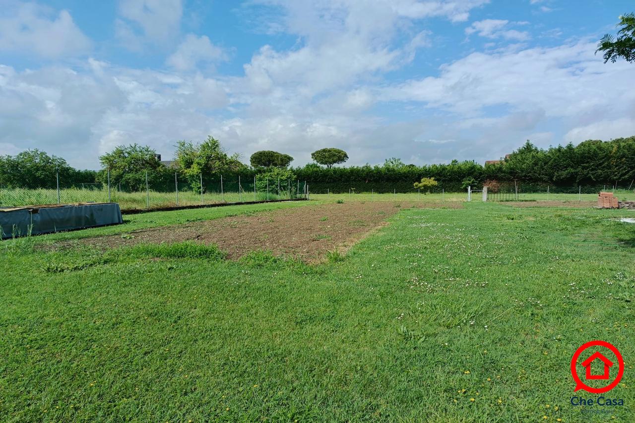 immagine annuncio 5 di 7