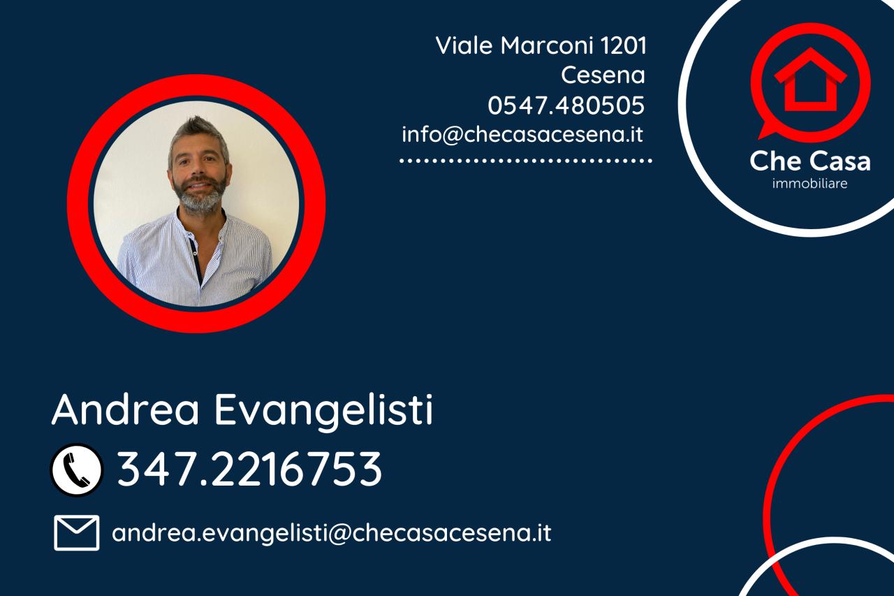 immagine annuncio 6 di 7