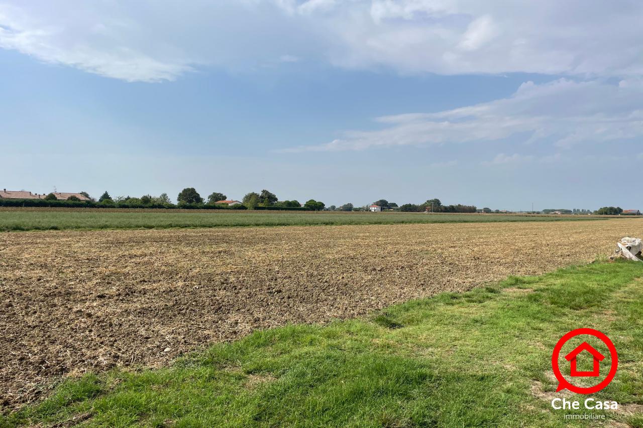 immagine annuncio 5 di 8