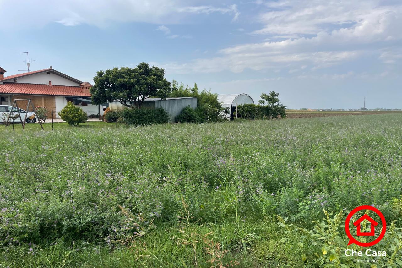 immagine annuncio 6 di 8