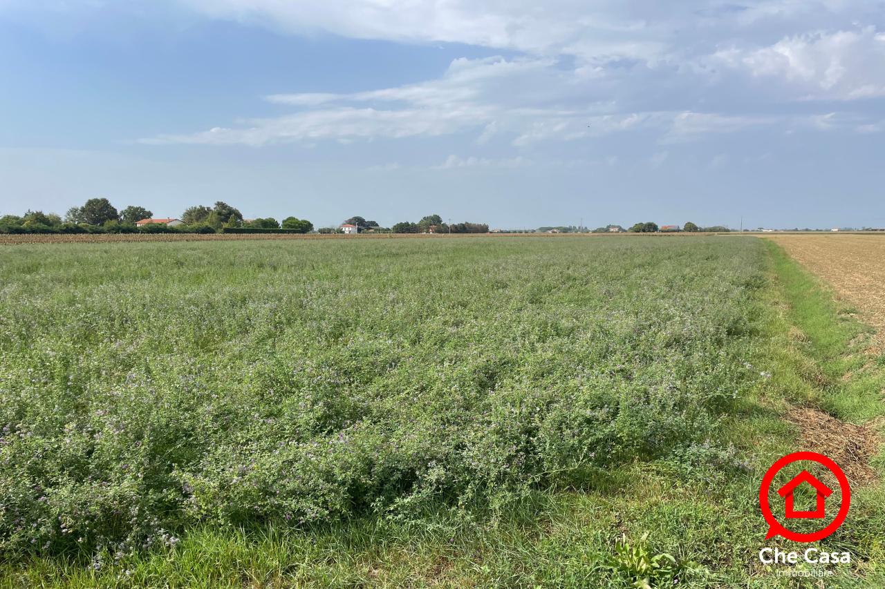 immagine annuncio 4 di 8