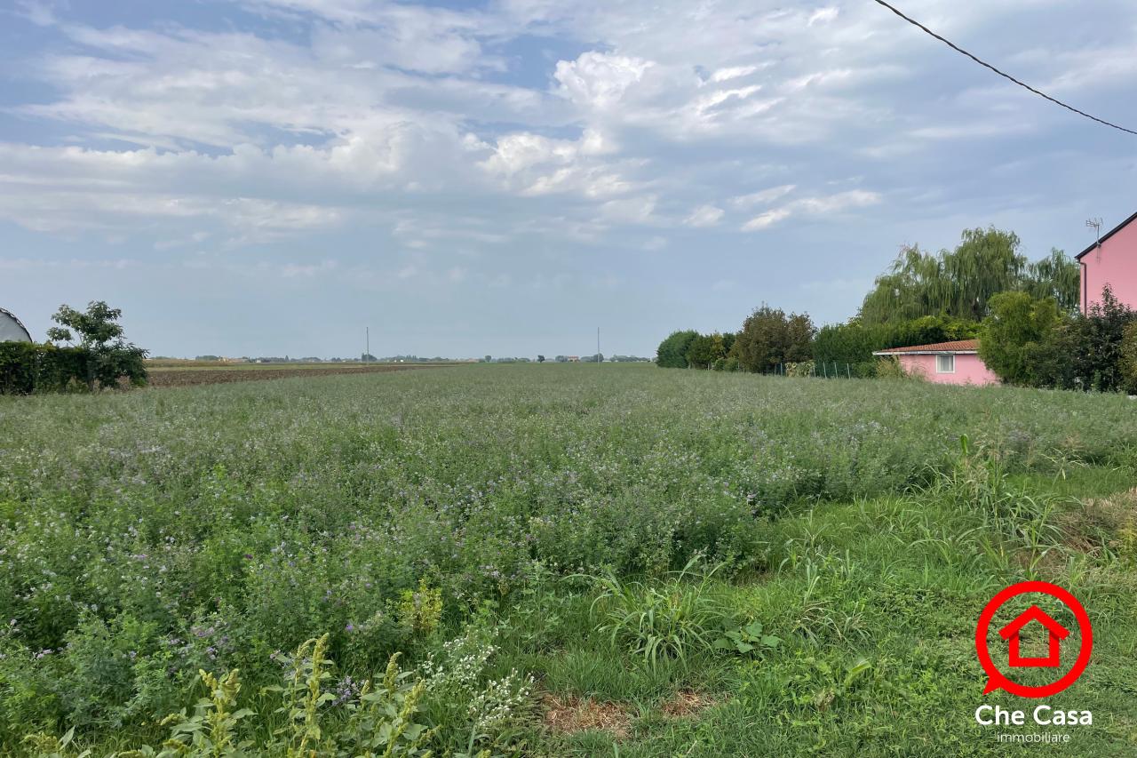 immagine annuncio 4 di 6