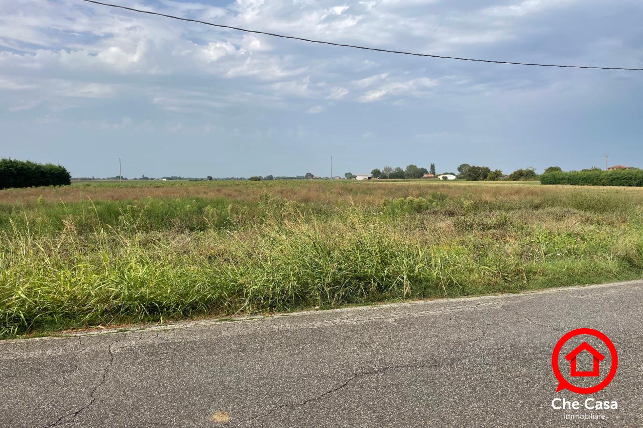 immagine annuncio 2 di 6