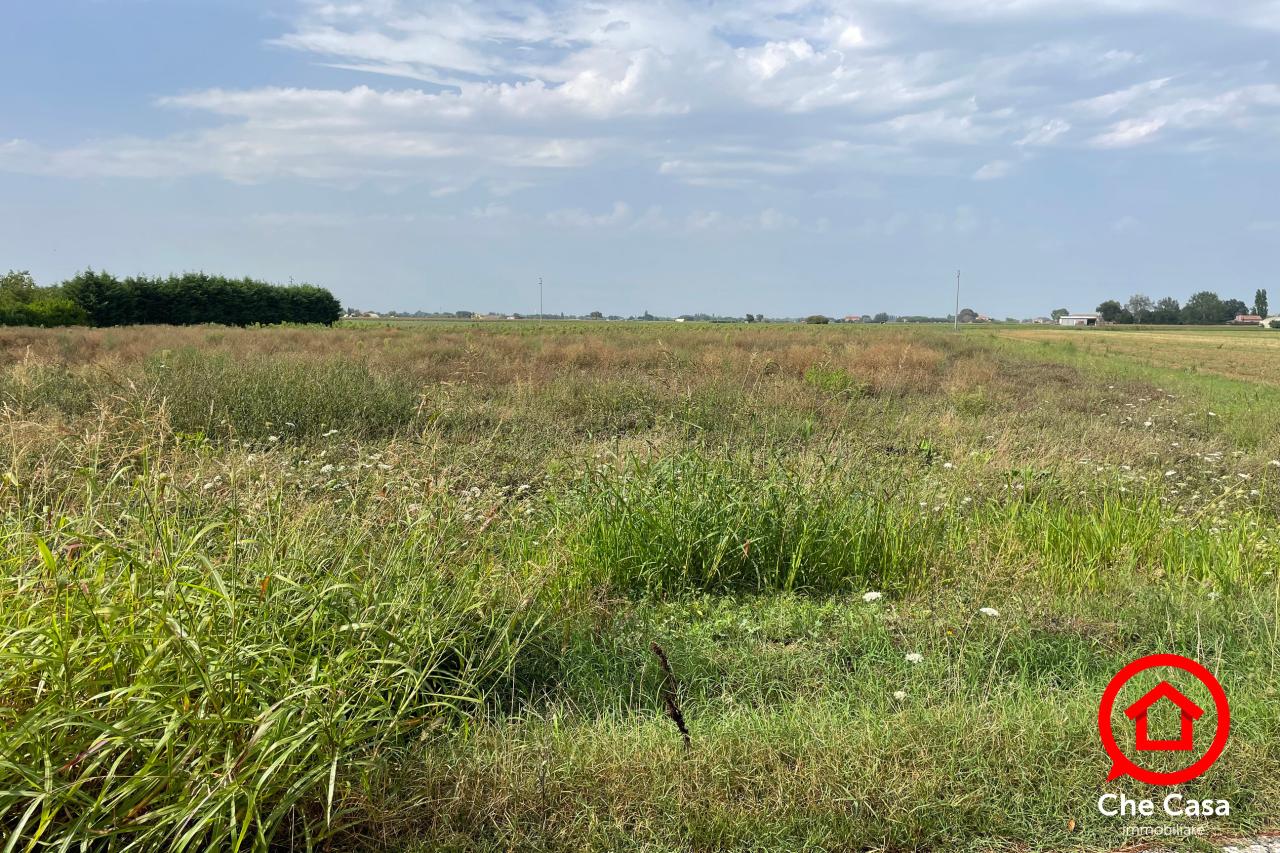 immagine annuncio 1 di 6