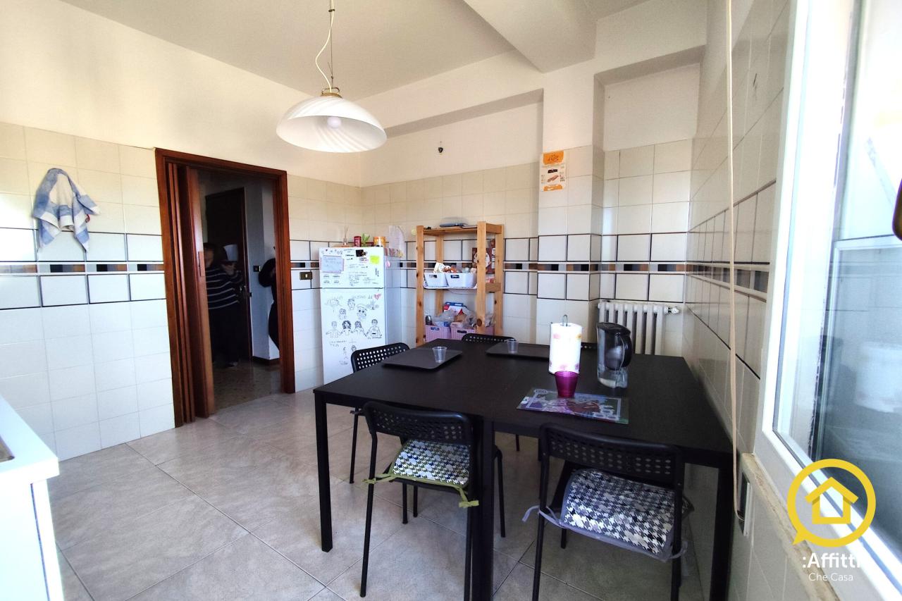 immagine annuncio 3 di 14