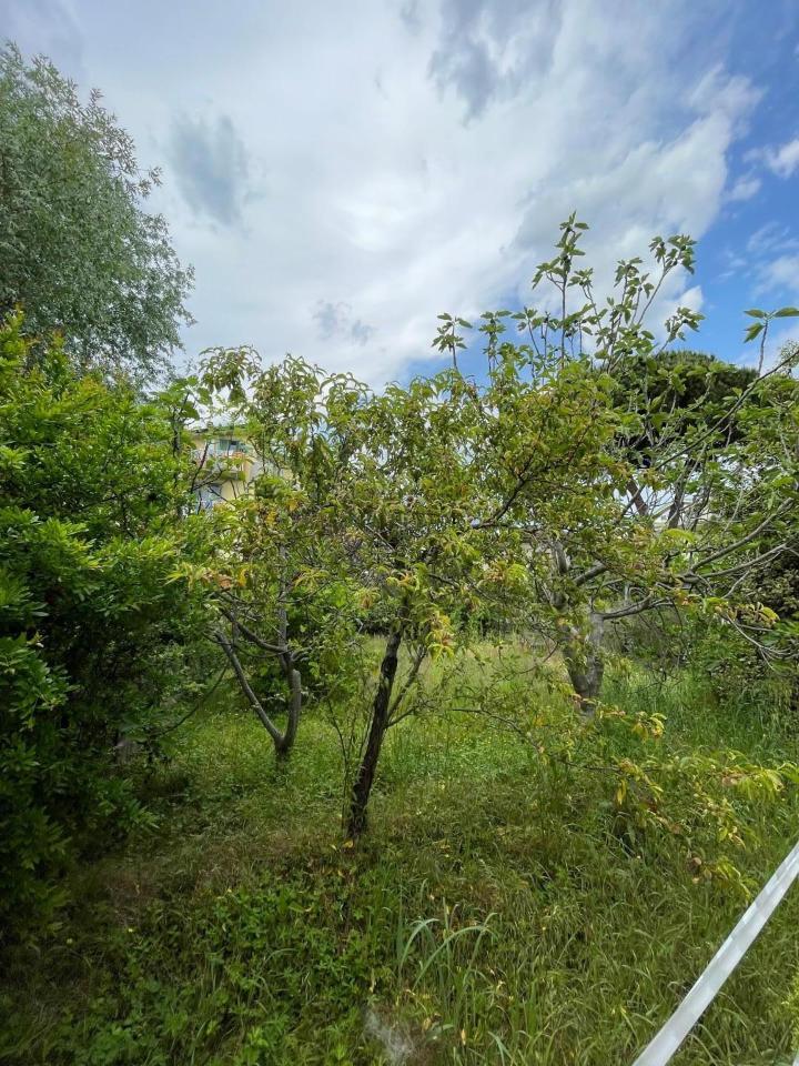 Terreno agricolo in vendita a Lucca