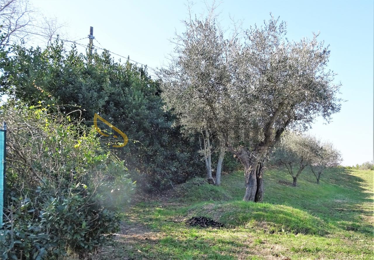 immagine annuncio 1 di 11
