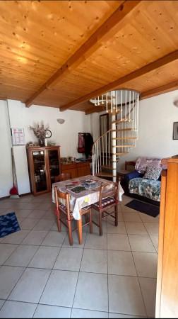 immagine annuncio 12 di 13