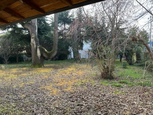 immagine annuncio 2 di 11