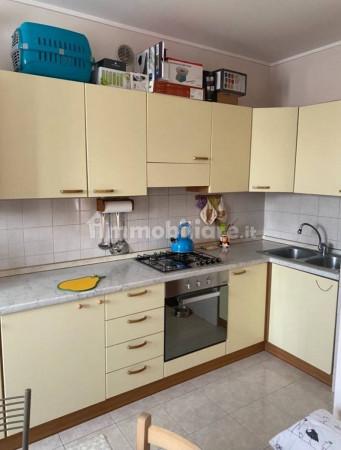 immagine annuncio 5 di 9