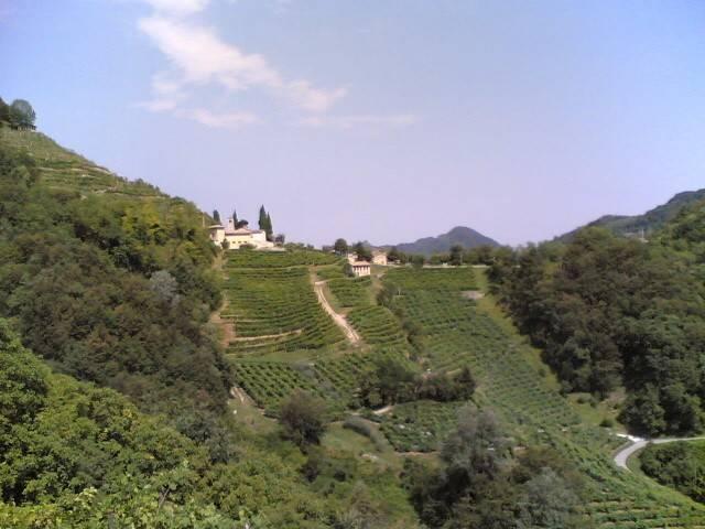 Terreno edificabile in Via Lago 54, Sarzana - Foto 1