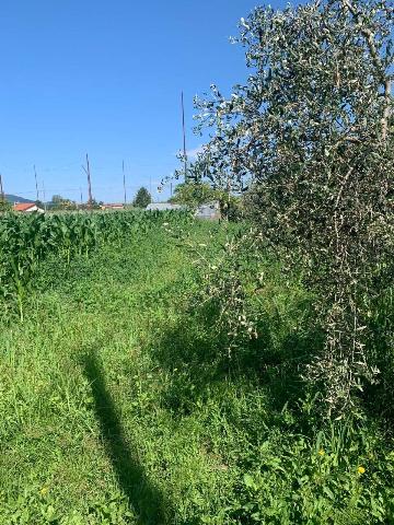 Terreno agricolo in Via Borgolo 54, Castelnuovo Magra - Foto 1