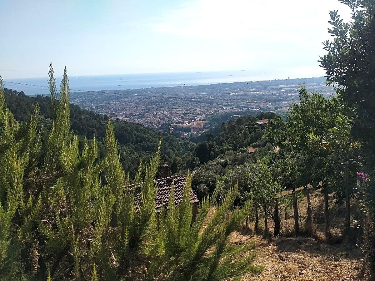 immagine annuncio 1 di 14