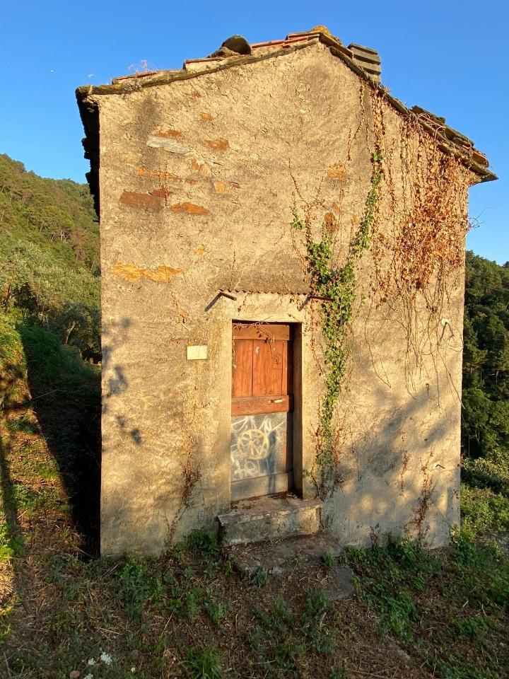 immagine annuncio 8 di 14