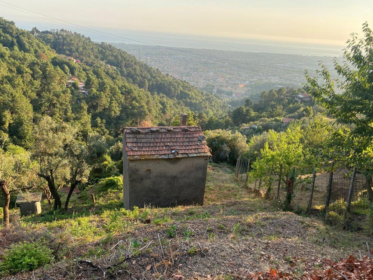 casa indipendente in vendita a Massa in zona Antona