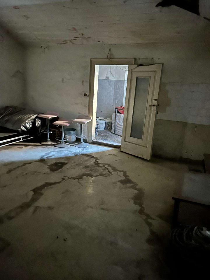 immagine annuncio 11 di 14