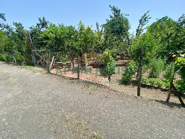 Agricultural land in , San Giuseppe Vesuviano - Photo 1