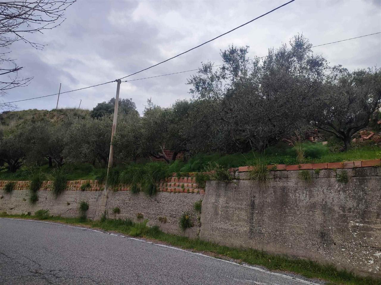 Terreno agricolo in vendita a Roccavaldina