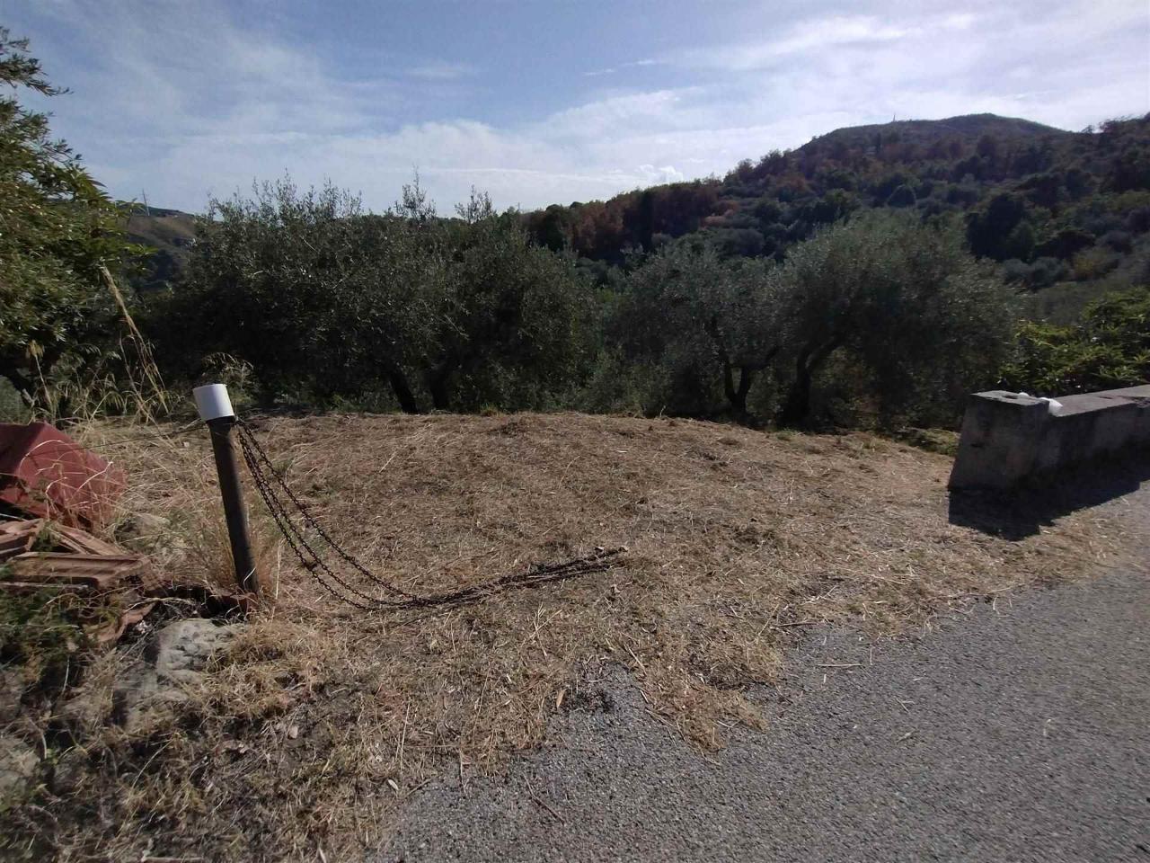 Terreno agricolo in vendita a Villafranca Tirrena