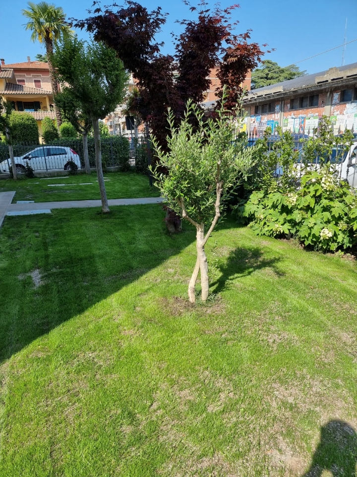 immagine annuncio 13 di 15