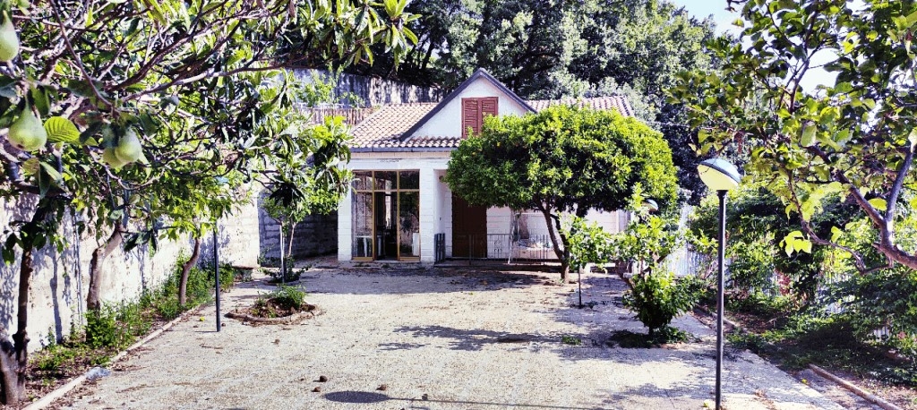 Villa unifamiliare in vendita a Ascea