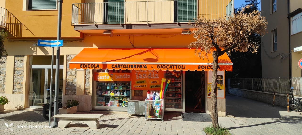 Cartoleria in Corso Elea, Ascea, {3} - Foto 1
