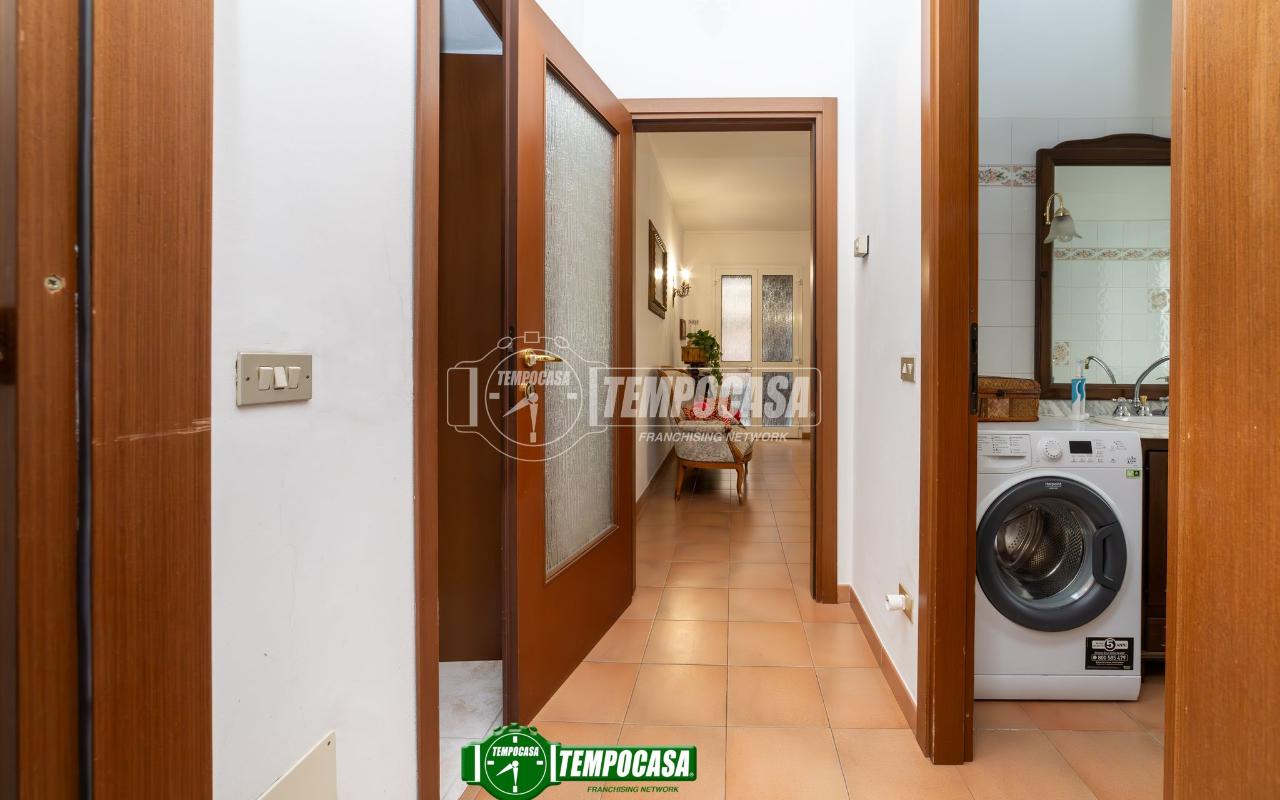 immagine annuncio 9 di 14