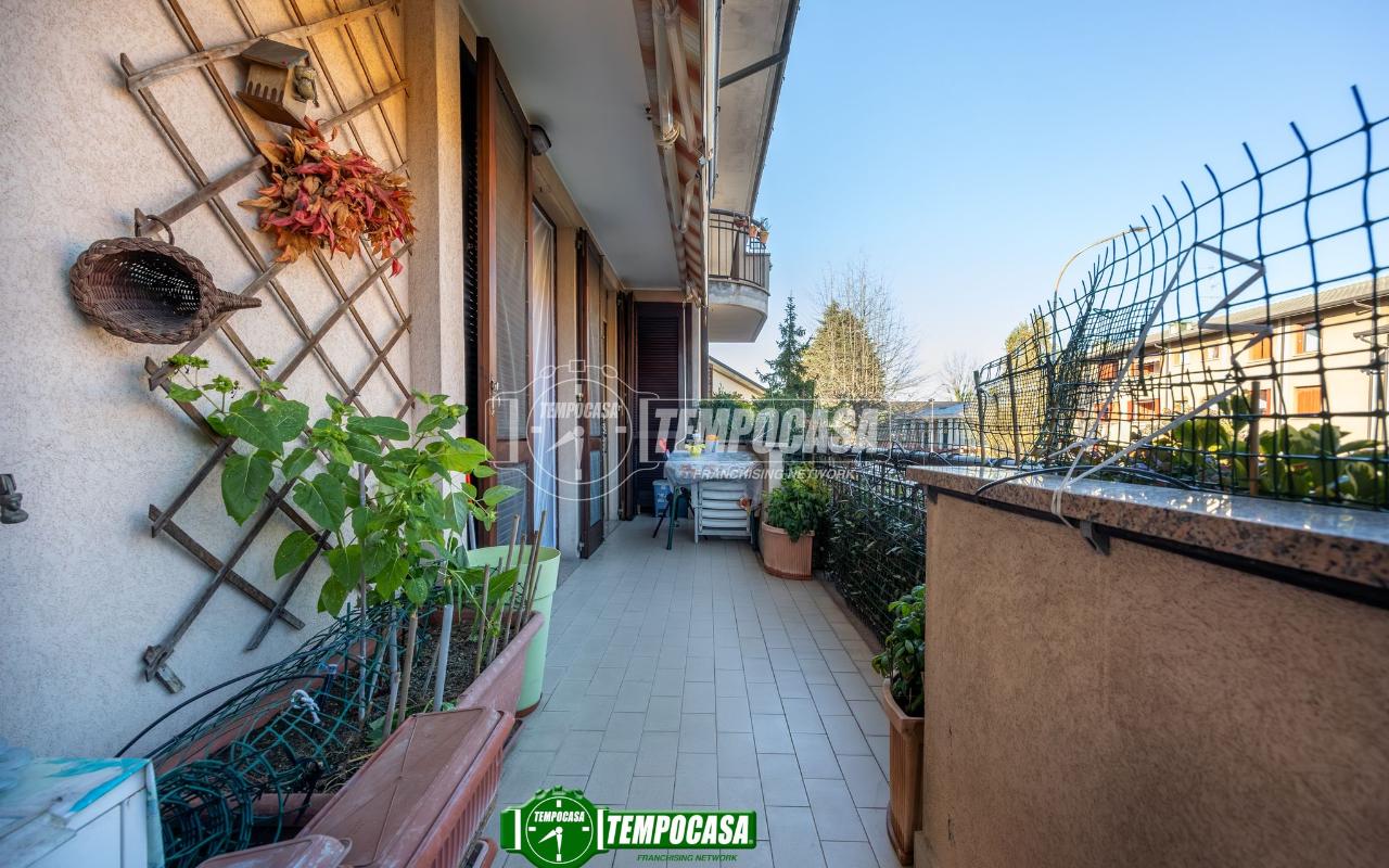 immagine annuncio 5 di 15