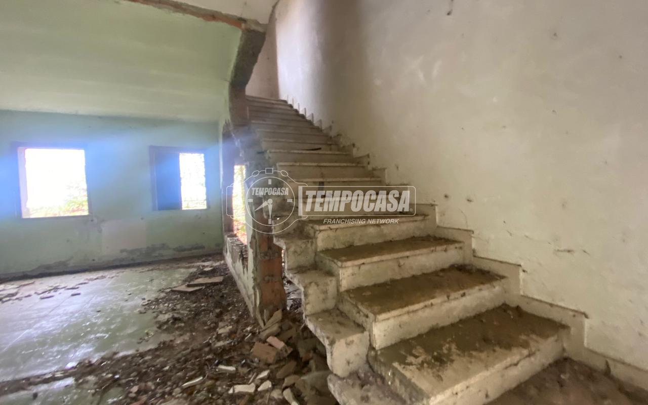 immagine annuncio 5 di 8