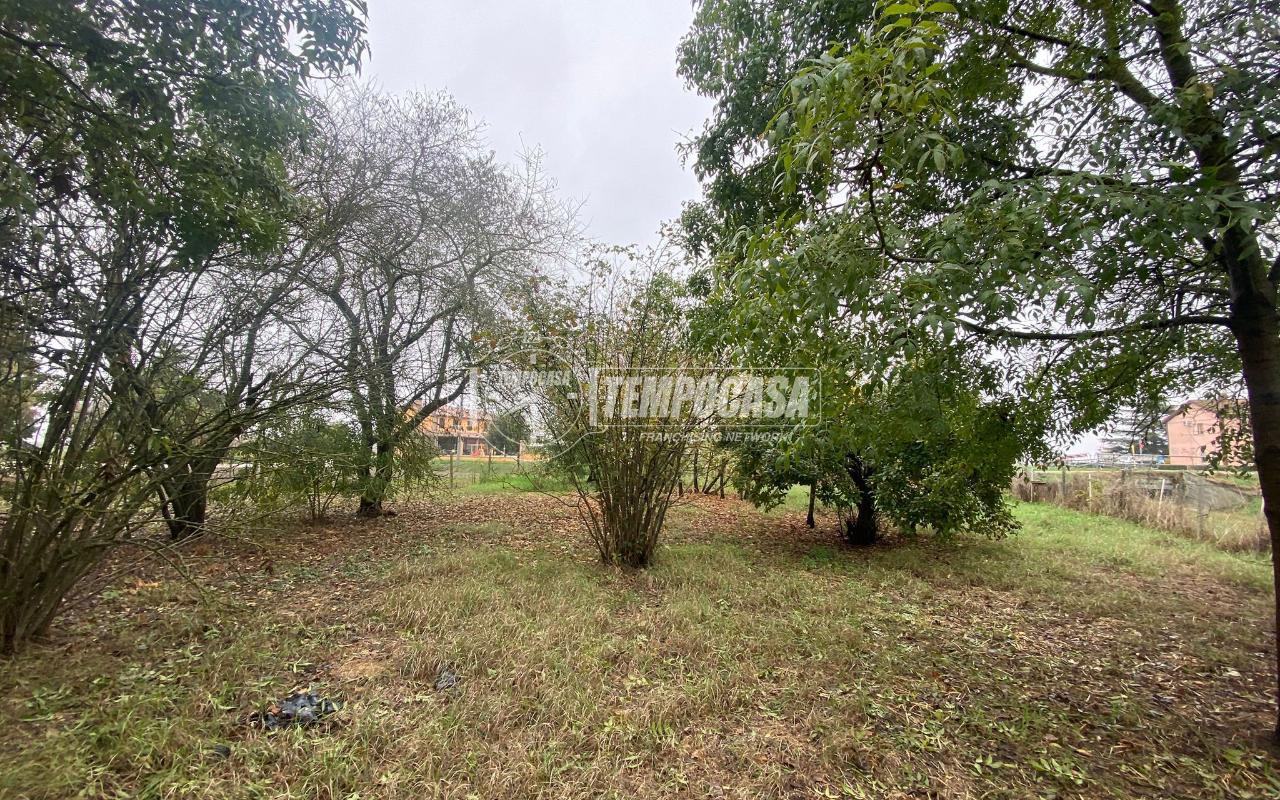 immagine annuncio 1 di 8