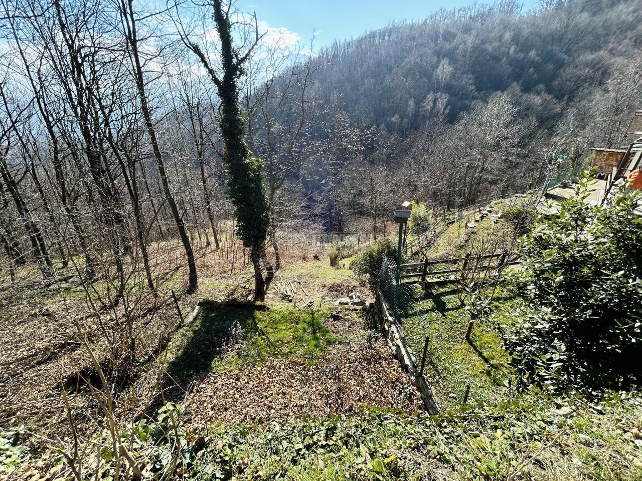 immagine annuncio 5 di 9