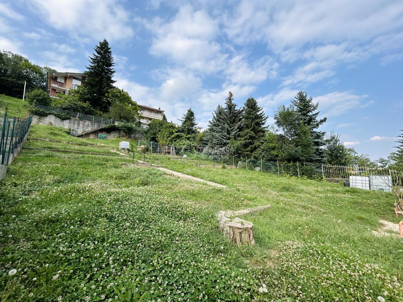 immagine annuncio 2 di 6