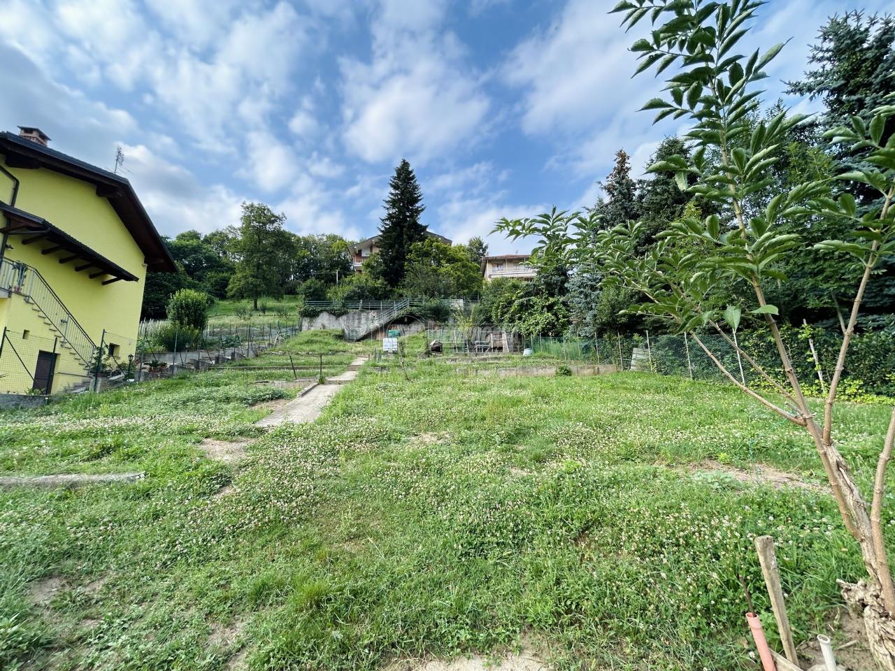 immagine annuncio 3 di 6