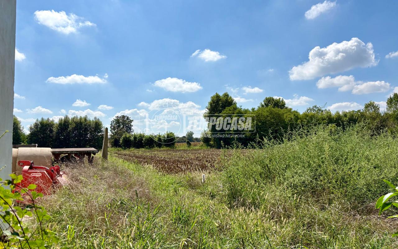 immagine annuncio 5 di 7