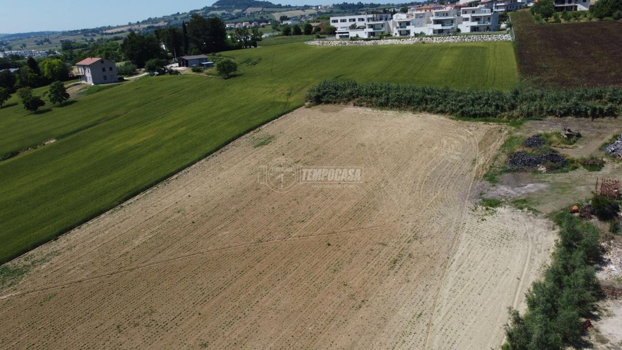 Terreno agricolo in vendita a Osimo
