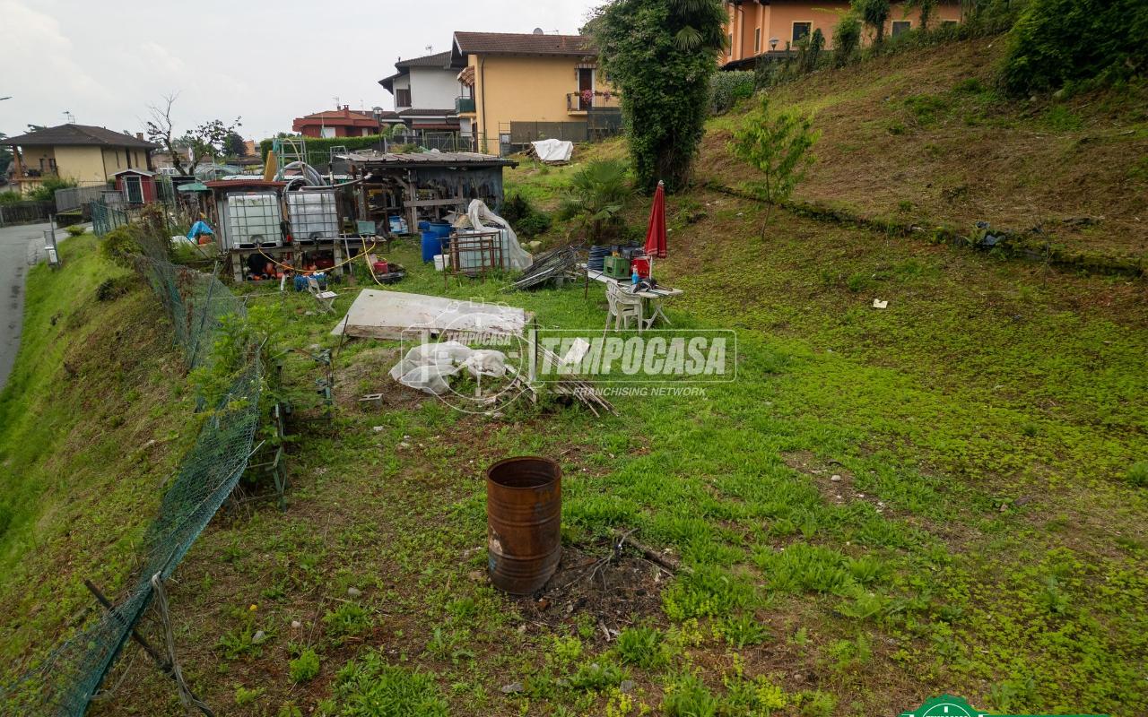 immagine annuncio 7 di 15