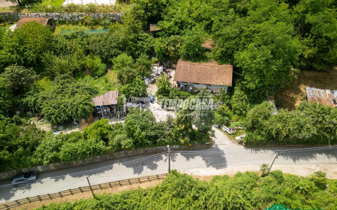 immagine annuncio 3 di 13