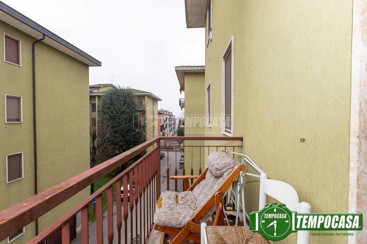immagine annuncio 11 di 15