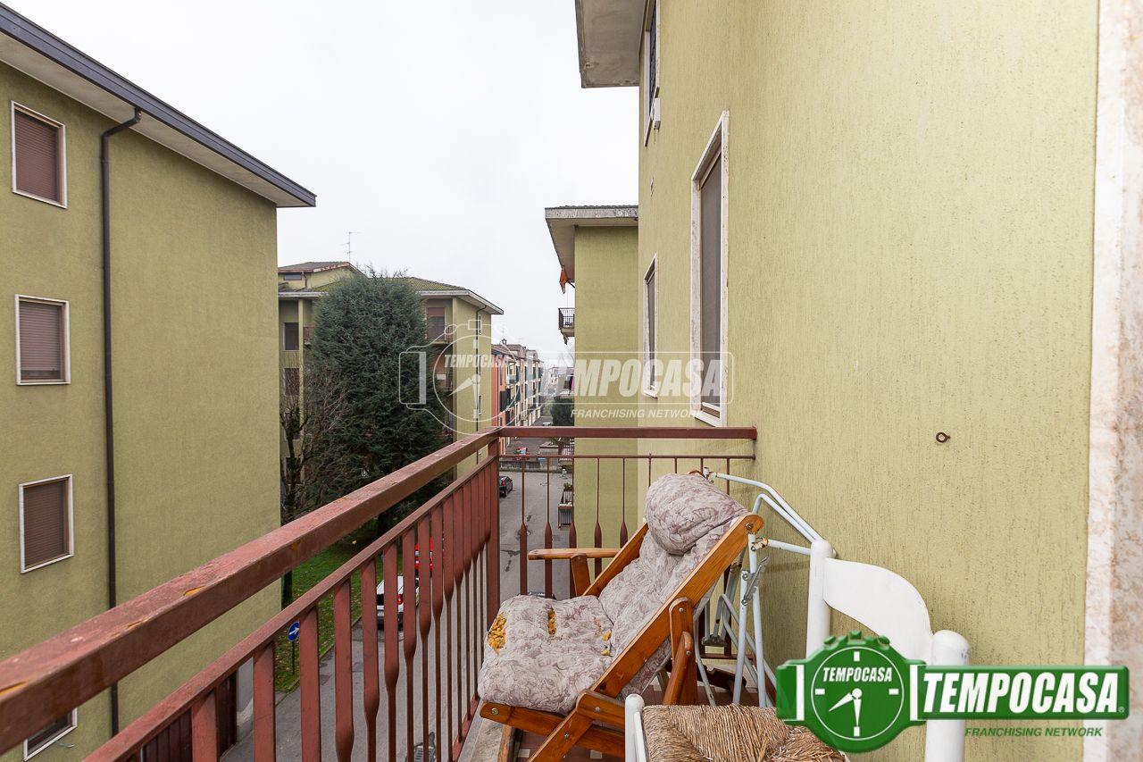 immagine annuncio 11 di 15