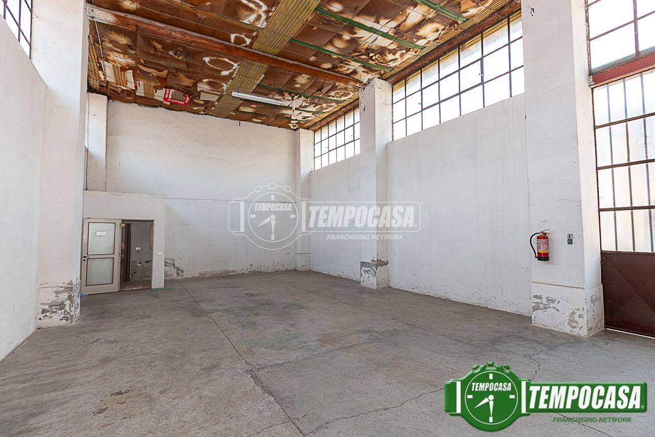 immagine annuncio 11 di 15