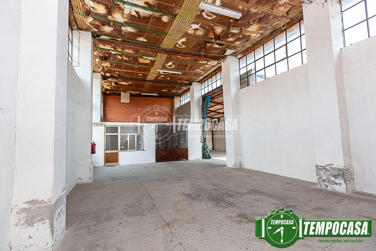 immagine annuncio 14 di 15