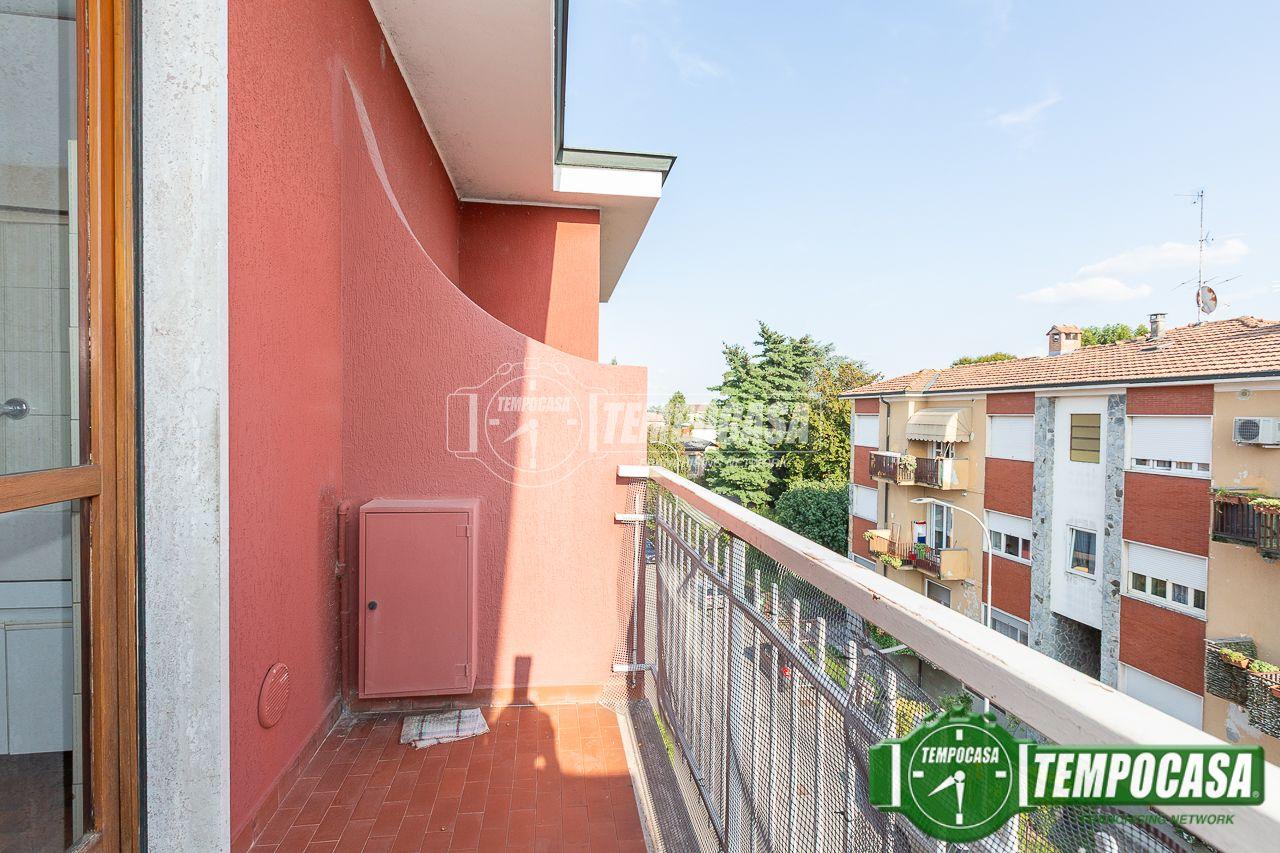 immagine annuncio 9 di 15