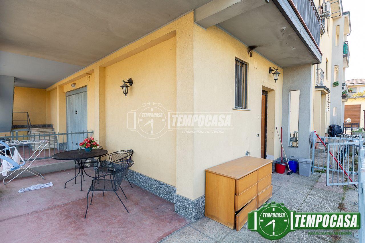 immagine annuncio 11 di 15