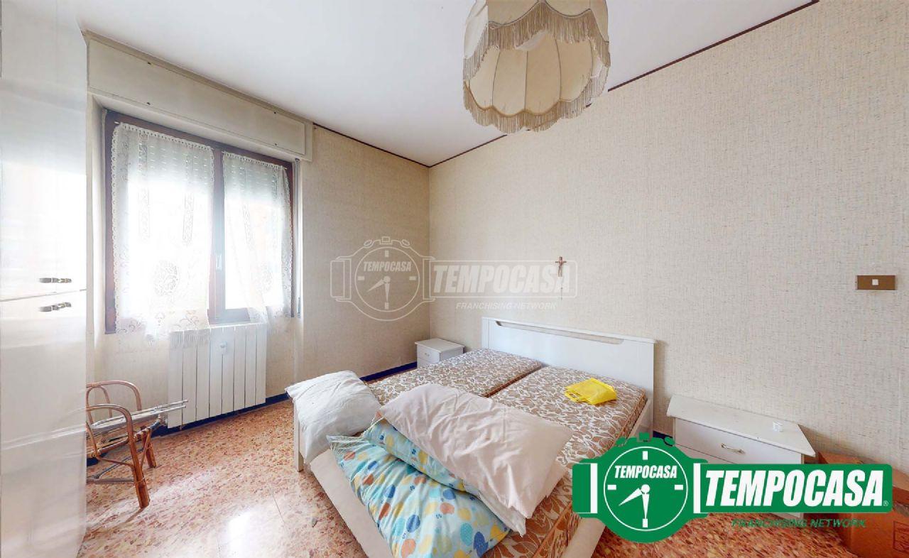 immagine annuncio 9 di 14
