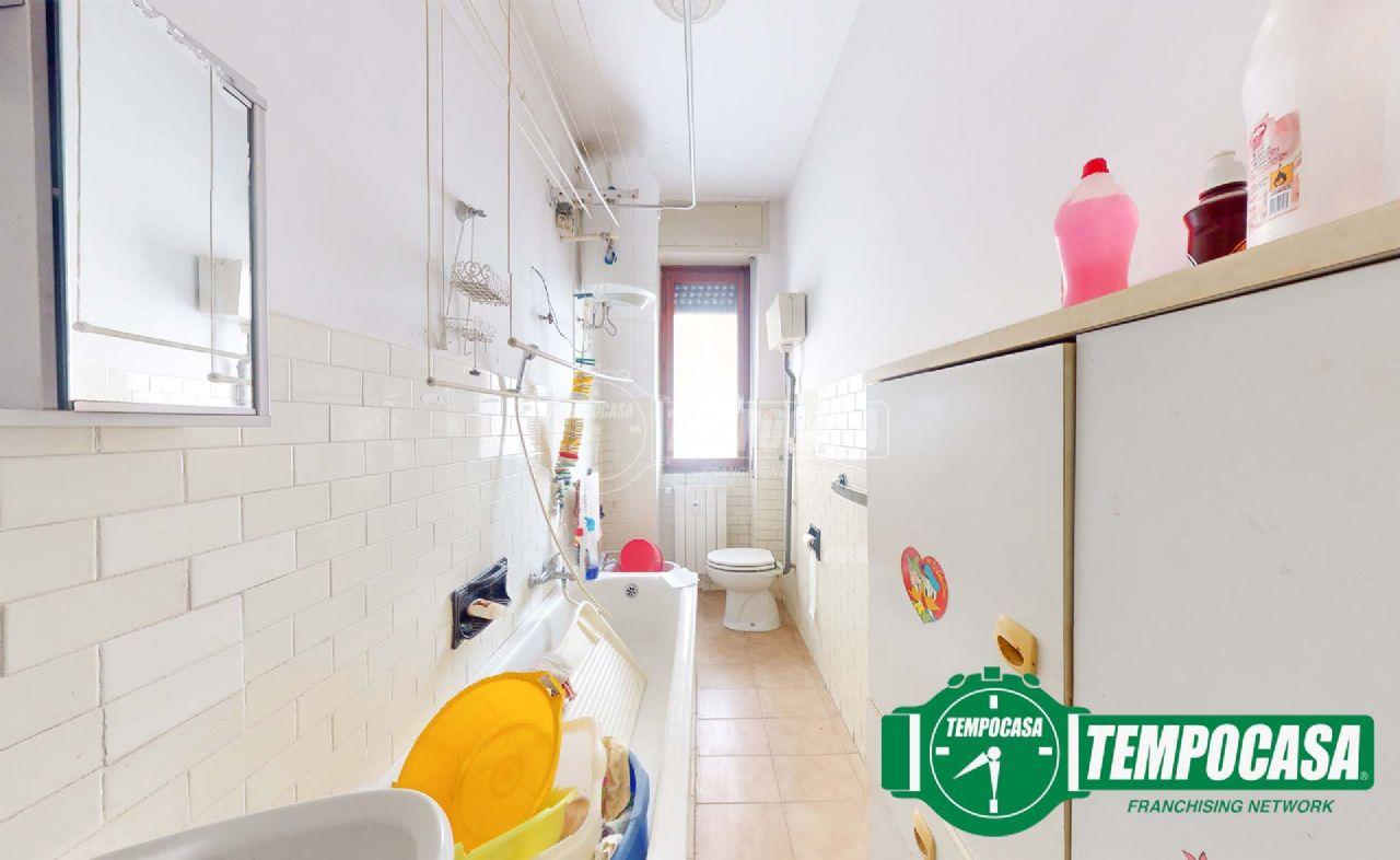 immagine annuncio 11 di 14