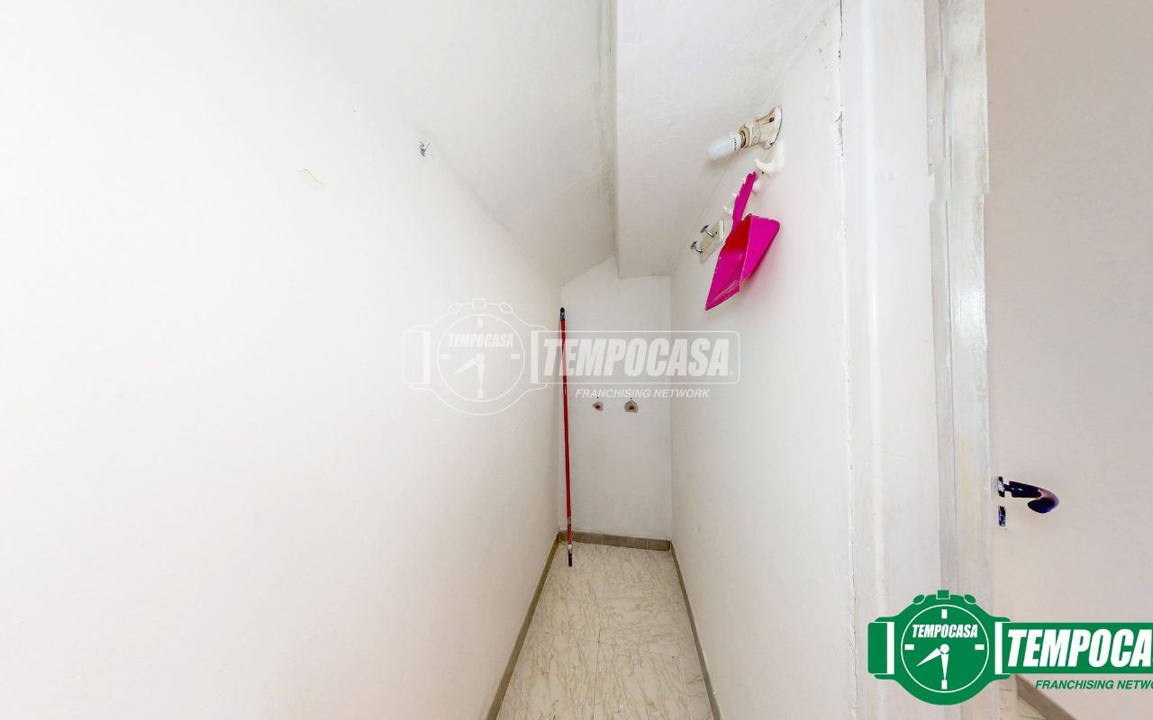 immagine annuncio 9 di 14